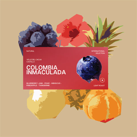 COLOMBIA INMACULADA — FELLOWS MIX