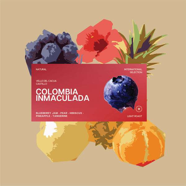 COLOMBIA INMACULADA — FELLOWS MIX