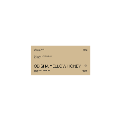 Odisha Yellow Honey | Yellow Honey Sun Dried | Medium Roast
