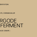 Kumergode Fruit Ferment | Fruit Fermented Naturals | Medium Light Roast