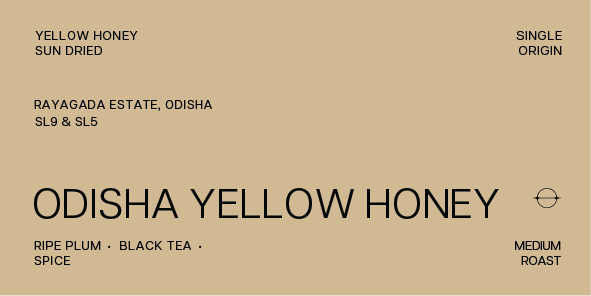 Odisha Yellow Honey | Yellow Honey Sun Dried | Medium Roast