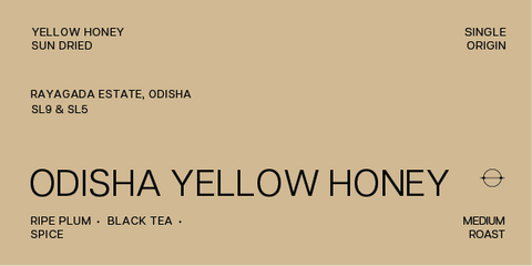 Odisha Yellow Honey | Yellow Honey Sun Dried | Medium Roast