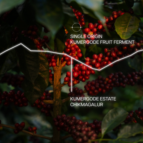 Kumergode Fruit Ferment | Fruit Fermented Naturals | Medium Light Roast