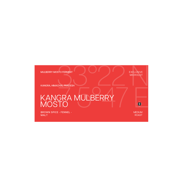 Kangra, Himachal Pradesh | Mulberry Mosto Ferment | Medium Roast