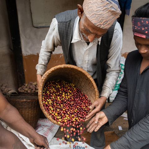 Kaski, Nepal