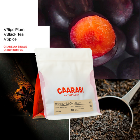 Odisha Yellow Honey | Yellow Honey Sun Dried | Medium Roast